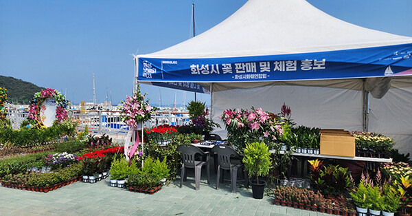 (사)한국화훼협회 화성시연합회,화훼인들을 위한 행사...'제13회 화성뱃놀이 축제' 꽃나눔